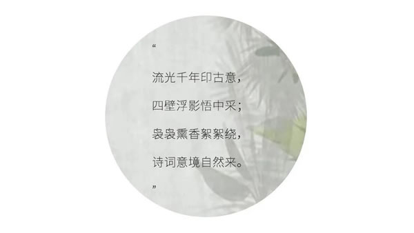 中国整木网